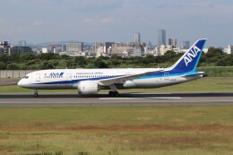 1/400 JA817A ANA 全日本空輸 B787-8 機体記号 : JA817A (ANA) 航空機体ガイド | FlyTeam(フライチーム)