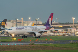 リゾッチャ(紫)さんが、成田国際空港で撮影したハワイアン航空 A330-243の航空フォト（飛行機 写真・画像）