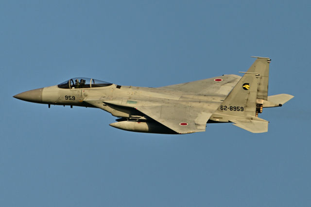 機体記号 : JA4098 (日本法人所有) 航空機体ガイド | FlyTeam