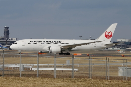prius737さんが、成田国際空港で撮影した日本航空 787-8 Dreamlinerの航空フォト（飛行機 写真・画像）