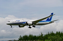 航空機・ヘリコプター JAL BOEING 767-300ER JA659J JAL BOEING 767-300ER JA659J 航空機・ヘリコプター