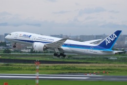 機体記号 : JA817A (ANA) 航空機体ガイド | FlyTeam(フライチーム)