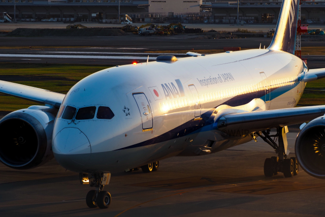 ANA (全日空) 機材一覧 ボーイング787-8 ドリームライナー