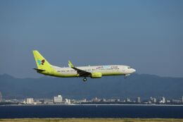 ひのとりさんが、関西国際空港で撮影したジンエアー 737-8SHの航空フォト（飛行機 写真・画像）
