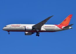 じーく。さんが、羽田空港で撮影したエア・インディア 787-8 Dreamlinerの航空フォト（飛行機 写真・画像）