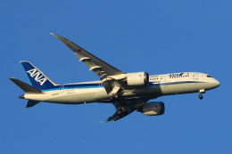 のあ 機体記号 : JA878A (ANA) 航空機体ガイド | FlyTeam(フライチーム)