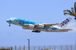 JCWings 1/200 ANA A380 フライングホヌ2号機　JA382A JCWings 1/200 ANA A380 フライングホヌ2号機JA382A
