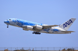 全日空商事 1/500 エアバス A380 ANA フライングホヌ ラニ 1号機 51yfpbyu6DL._UF1000,1000_QL80_.jpg
