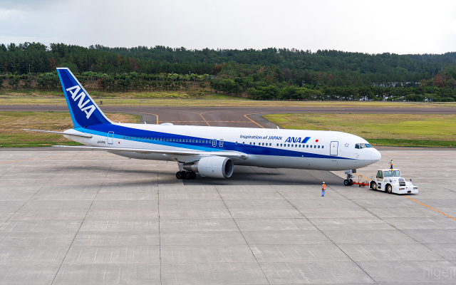 スターアライアンス (ホワイト)」特別塗装機 シンガポール航空