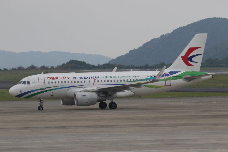 日本に馴染みはありませんが…ブリュッセル航空 エアバス A319 日本に馴染みはありませんが…ブリュッセル航空 エアバス A319
