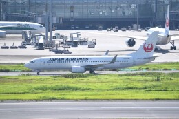 kumagorouさんが、羽田空港で撮影した日本航空 737-846の航空フォト（飛行機 写真・画像）
