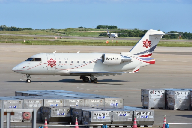 ワンワールド」特別塗装機 日本航空 (777-300 | JA732J) ガイド