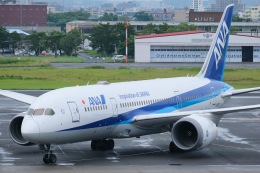 1/400 JA817A ANA 全日本空輸 B787-8 NH40116 1:400 BOEING 787-8 JA831A ABS樹脂完成品（ギアつき