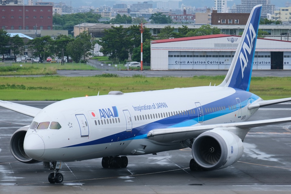 航空機・ヘリコプター BOEING 787-8 ANA JA817A 全日空 Boeing 787-8 Dreamliner JA817A 宮崎空港 航空フォト