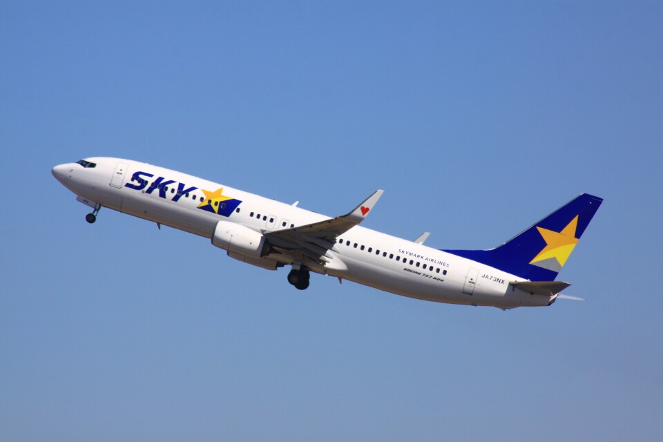 【廃版】737-800 1/130 日本ハム×スカイマーク まーさん専用】737-800 1/130 日本ハム×スカイマーク - メルカリ