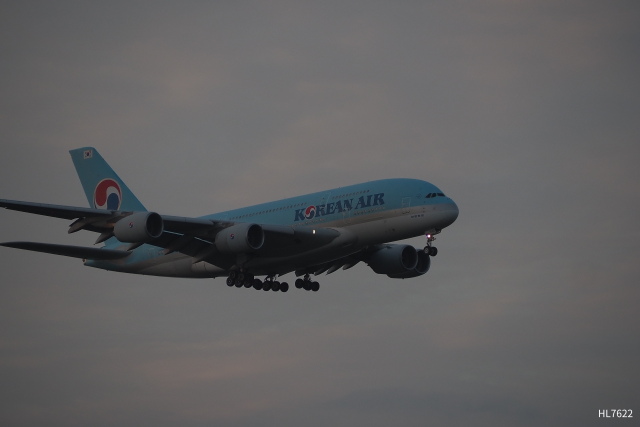JCWings 1:200 中国東方航空 A330 B-5976トイ・ストーリー China Eastern Airbus A330-300 Toy Story B-5976 中国东方航空