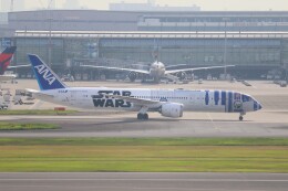 HK.buhihiさんが、羽田空港で撮影した全日空 787-9の航空フォト（飛行機 写真・画像）