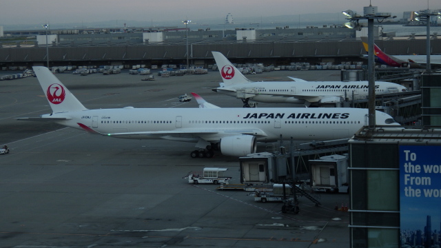 JAL (日本航空) 機材一覧 エアバスA350-1000 | FlyTeam(フライ