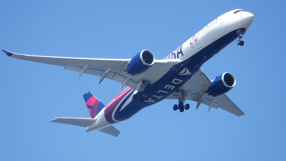 1/144 A350-900 デルタ航空 N501DN デスクトップモデル 機体記号 : N501DN (デルタ航空) 航空機体ガイド | FlyTeam