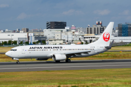 TKM17さんが、伊丹空港で撮影した日本航空 737-846の航空フォト（飛行機 写真・画像）
