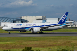 1/400 JA817A ANA 全日本空輸 B787-8 1/400 JA817A ANA 全日本空輸 B787-8