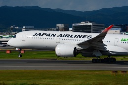 機体記号 : JA03XJ (JAL) 航空機体ガイド | FlyTeam(フライチーム)