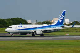 TKM17さんが、伊丹空港で撮影した全日空 737-881の航空フォト（飛行機 写真・画像）