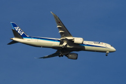 senbaさんが、羽田空港で撮影した全日空 787-9の航空フォト（飛行機 写真・画像）