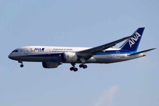 デルタ航空 ボーイング737-800 運航・就航路線 | FlyTeam(フライ
