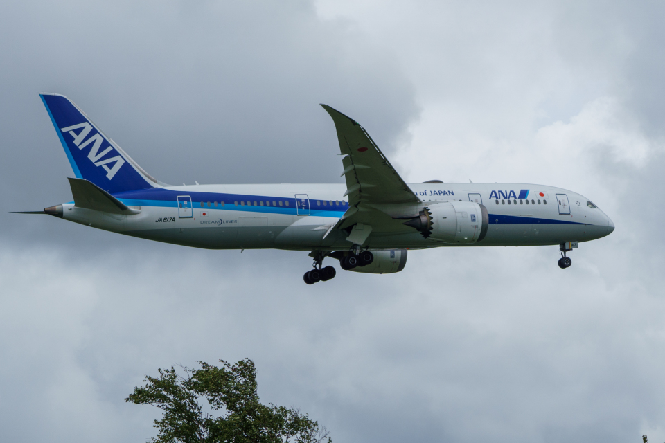 航空機・ヘリコプター BOEING 787-8 ANA JA817A B787 Circling Approach] ANA Boeing 787-8 Dreamliner JA817A