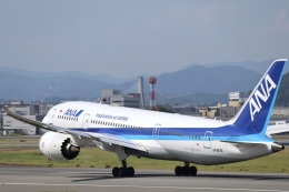 1/400 JA817A ANA 全日本空輸 B787-8 1/400 JA817A ANA 全日本空輸 B787-8