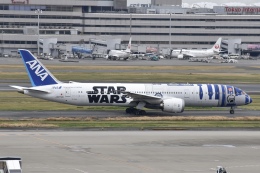 しんたまばしさんが、羽田空港で撮影した全日空 787-9の航空フォト（飛行機 写真・画像）