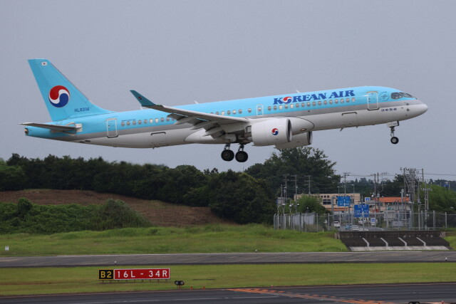 マリンジャンボ」特別塗装機 全日空 (747-400 | JA8963) ガイド
