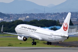 Fly Yokotayaさんが、伊丹空港で撮影した日本航空 737-846の航空フォト（飛行機 写真・画像）