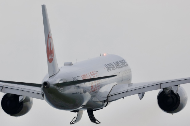 鬼滅の刃 じぇっと -壱-」特別塗装機 全日空 (767-300 | JA616A