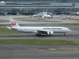 8ss3さんが、羽田空港で撮影した日本航空 777-246/ERの航空フォト（飛行機 写真・画像）
