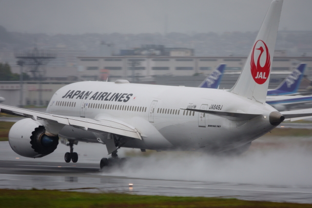 100周年記念」特別塗装機 カンタス航空 (787-9 | VH-ZNJ) ガイド