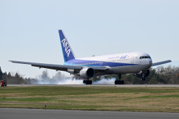 スカイマーク Boeing 737-800 JA73AB 茨城空港 航空フォト | by