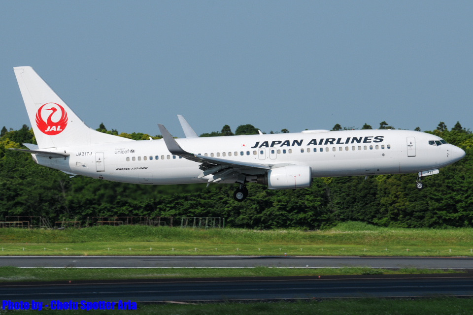 日本航空 Boeing 737-800 JA317J 成田国際空港 航空フォト | by