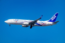 インドネシア政府 Boeing 777-300 PK-GIG 羽田空港 航空フォト