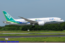 JA01AN / JA874A あさひろ ANA Green Jet」特別塗装機 全日空 (787-8 ドリームライナー