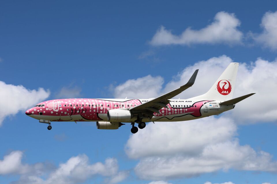 日本トランスオーシャン航空 Boeing 737-800 1:130 Amazon | JTA 日本トランスオーシャン航空 737-800 1130