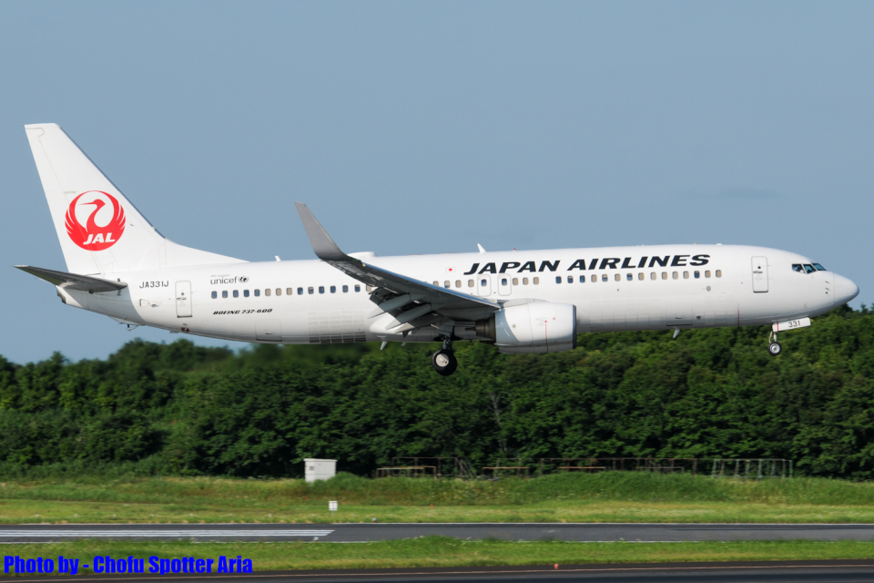ＡI R  N IＰＰ O N旅客機 B-737 AI R N IPP O N旅客機 B-737 AviLease、ボーイング737-8型機