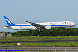 機体記号 : JA794A (ANA) 航空フォト(飛行機 写真・画像