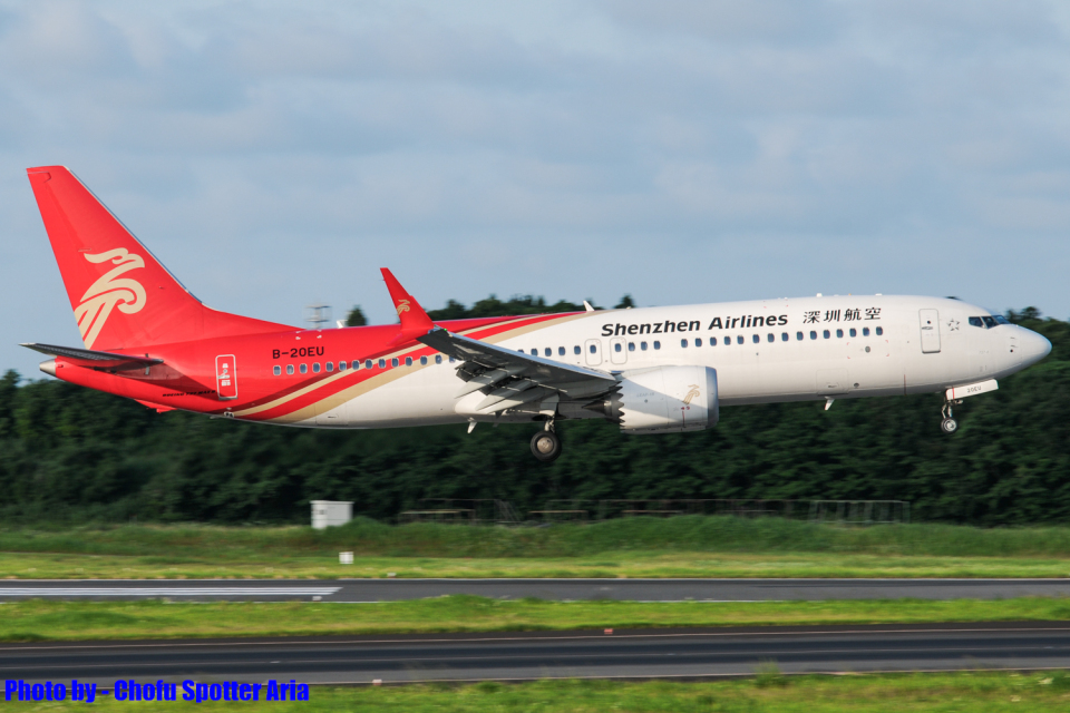 ＡI R  N IＰＰ O N旅客機 B-737 公式の AI R N IPP O N旅客機 B-737 航空機・ヘリコプター