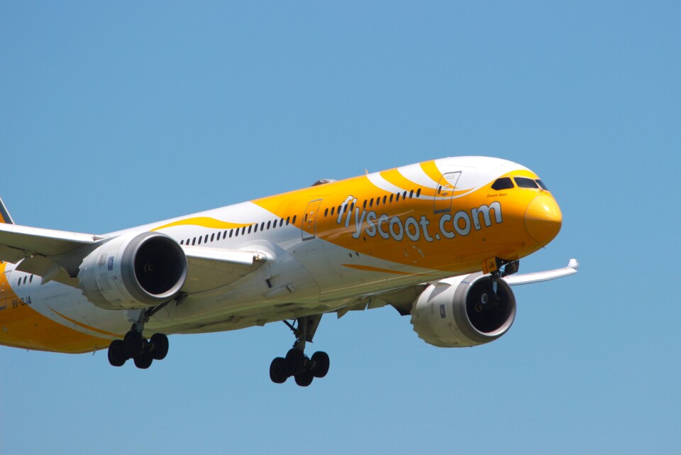 航空機・ヘリコプター FLY Scoot BOEING787-9  9V-OJA 1:250 スクート Boeing 787-9 9V-OJA 成田国際空港 航空フォト | by