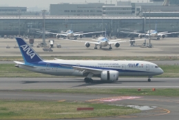 JA01AN / JA874A あさひろ ANA Green Jet」特別塗装機 全日空 (787-8 ドリームライナー