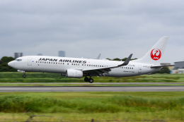 TKM17さんが、伊丹空港で撮影した日本航空 737-846の航空フォト（飛行機 写真・画像）