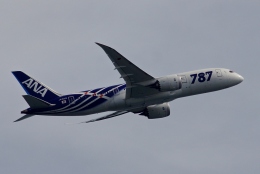 機体記号 : JA802A (ANA) 航空フォト(飛行機 写真・画像