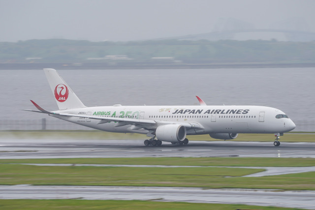 機体記号 : JA03XJ (JAL) 航空フォト(飛行機 写真・画像